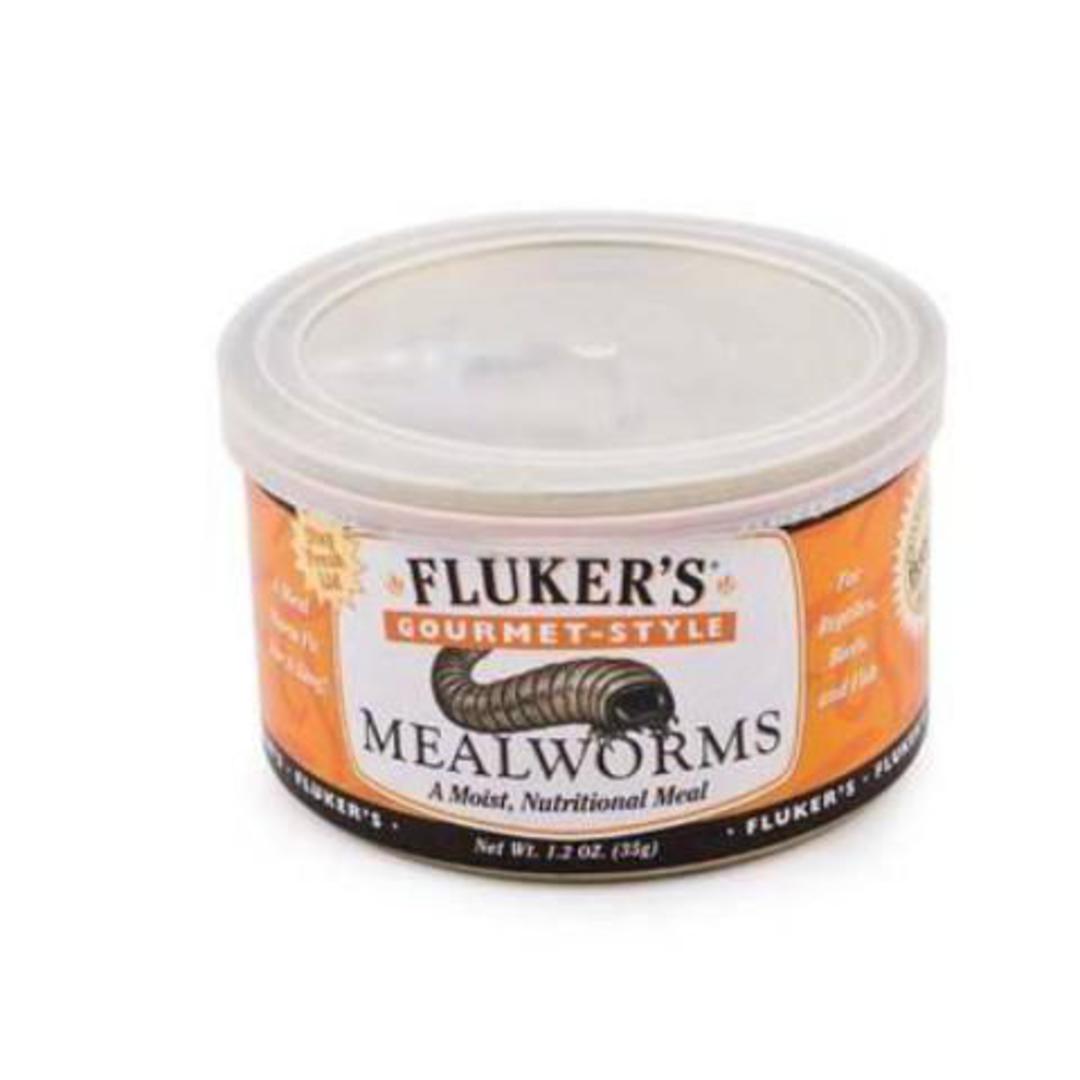 Fluker's Gourmet Mealworms image 0